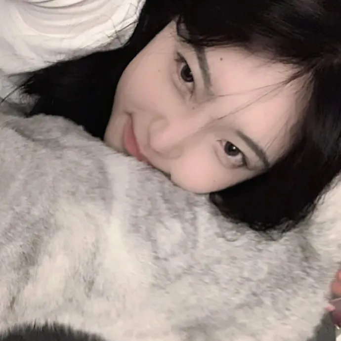 小象的故事